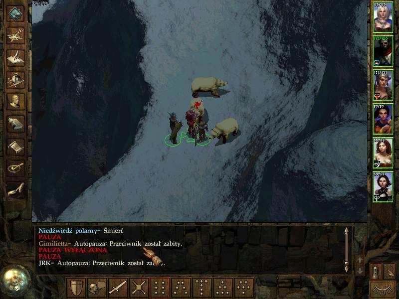 Icewind Dale - Heart of Winter Microsoft Windows PC CD-PC Gamez USA