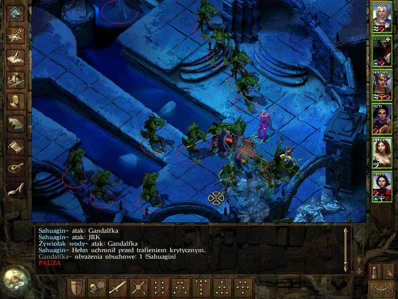 Icewind Dale - Heart of Winter Microsoft Windows PC CD-PC Gamez USA