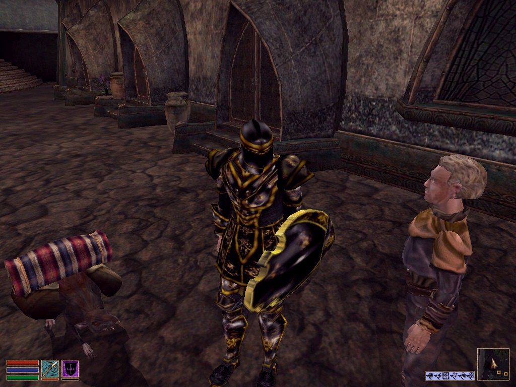 The Elder Scrolls III Tribunal Microsoft Windows PC CD-PC Gamez USA