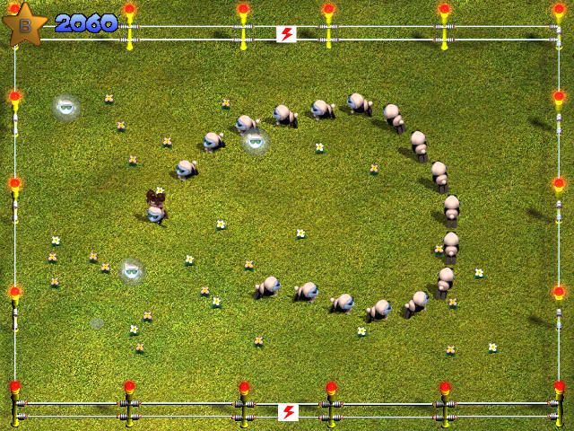 Sheep Microsoft Windows PC CD-PC Gamez USA