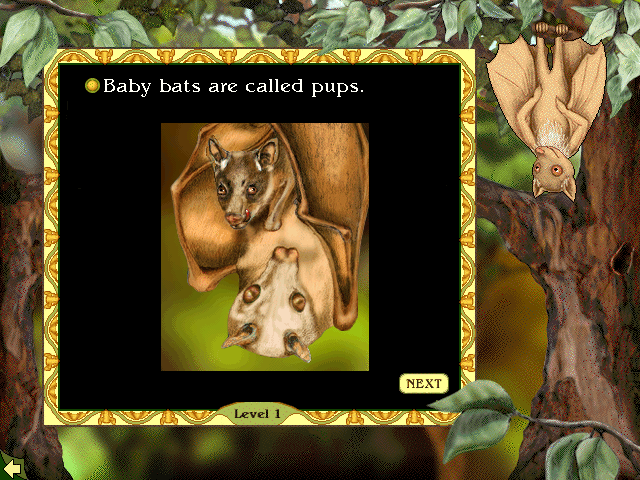 Stellaluna Microsoft Windows PC CD-PC Gamez USA