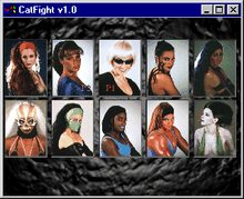 CatFight The Ultimate Female Fighting Game Microsoft Windows PC CD-PC Gamez USA