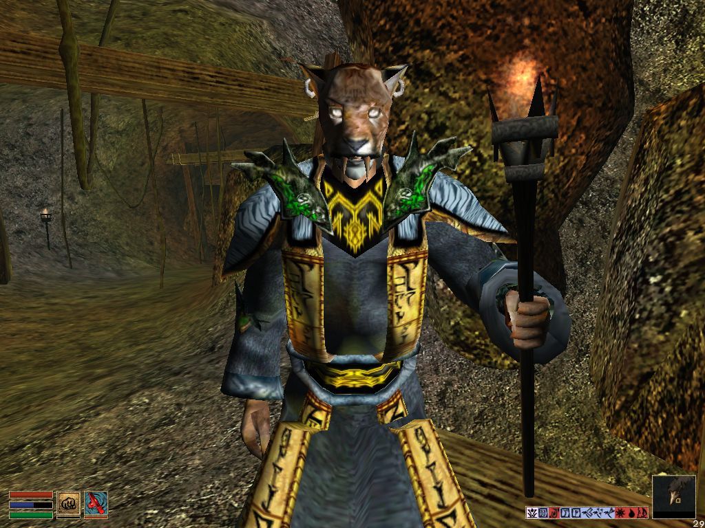The Elder Scrolls III Morrowind Microsoft Windows PC CD-PC Gamez USA
