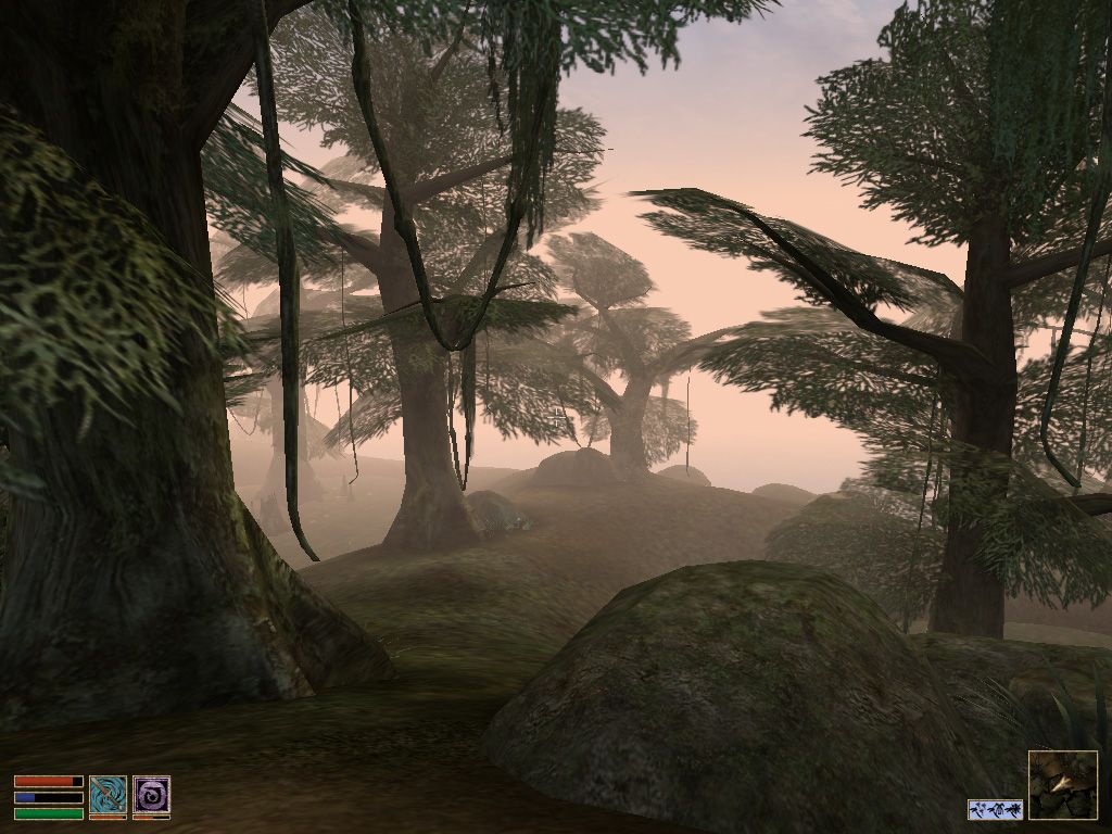 The Elder Scrolls III Morrowind Microsoft Windows PC CD-PC Gamez USA