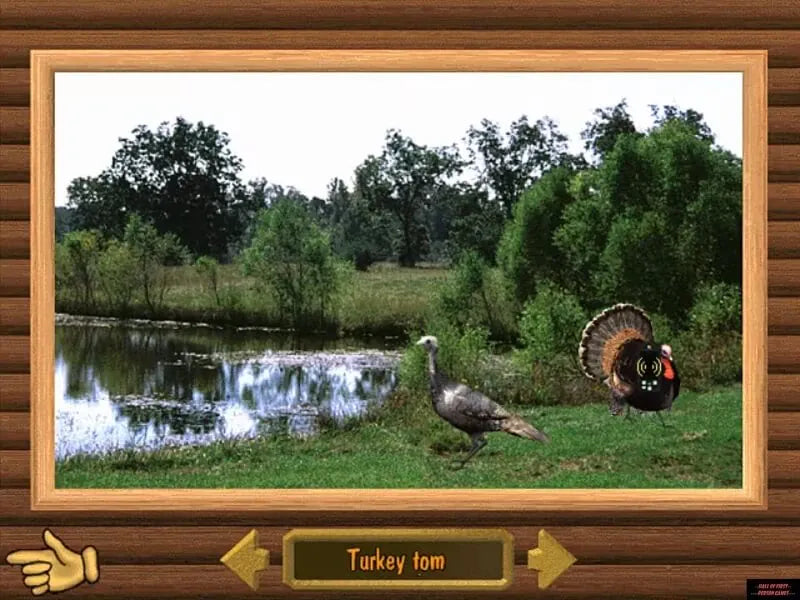 The Hunting Game Microsoft Windows PC CD-PC Gamez USA