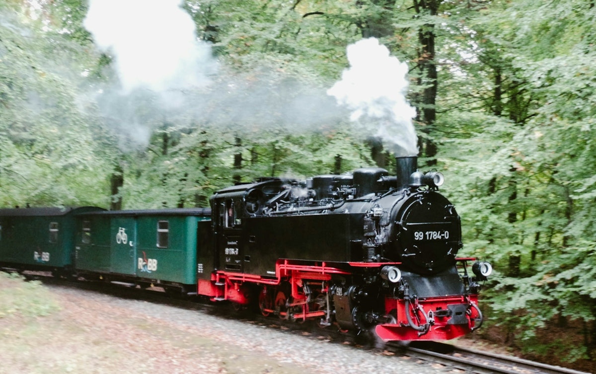 a train traveling through a lush green forest