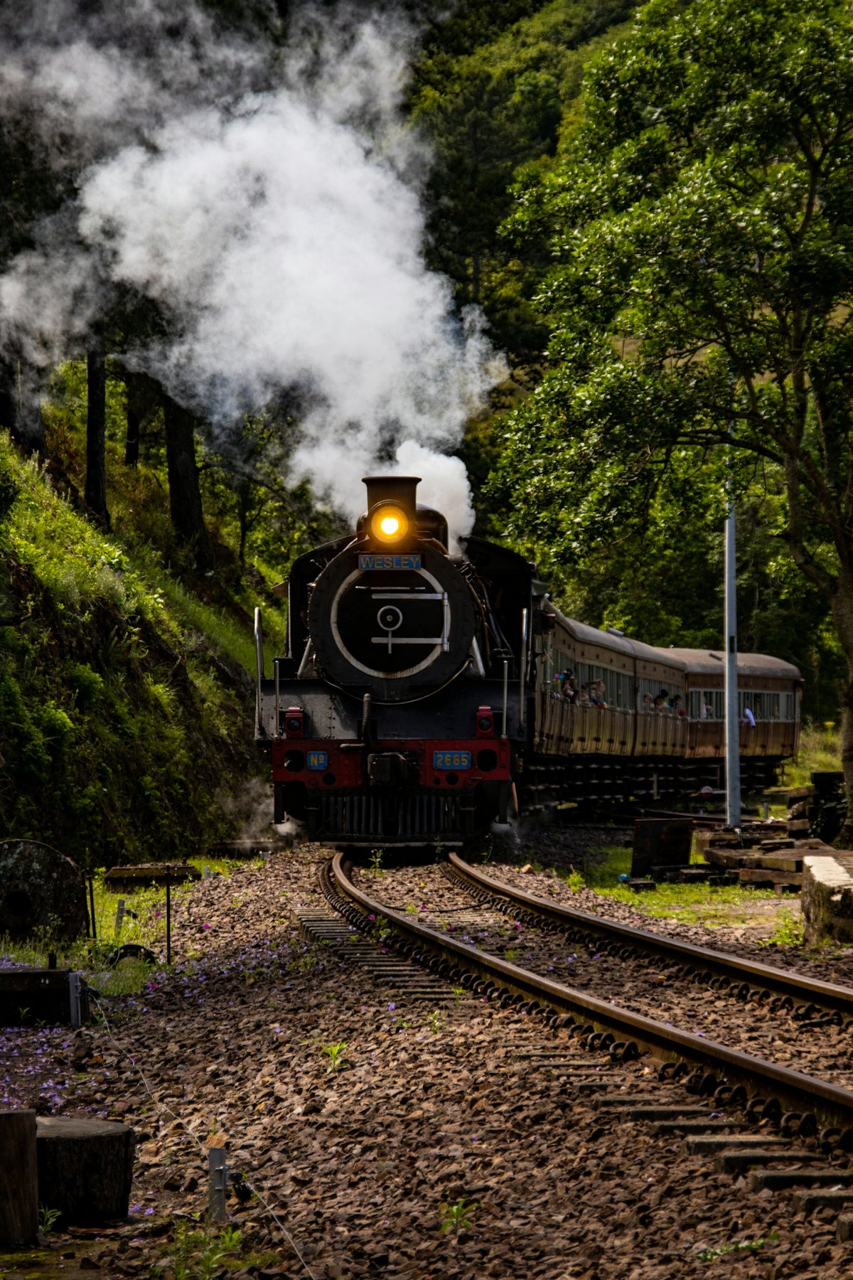 a train travels down the tracks