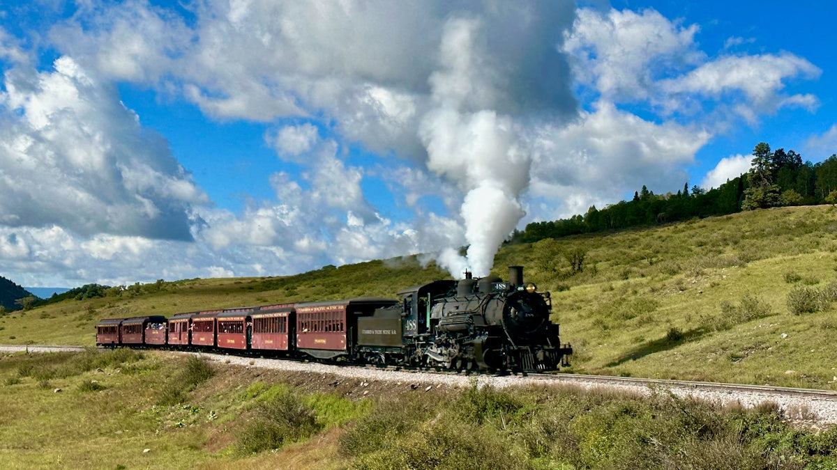 a train traveling through a lush green countryside