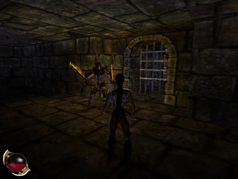 Drakan Order of the Flame Microsoft Windows PC CD-PC Gamez USA