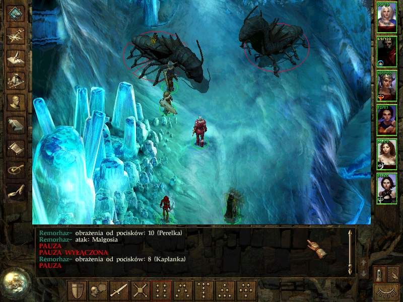 Icewind Dale - Heart of Winter Microsoft Windows PC CD-PC Gamez USA