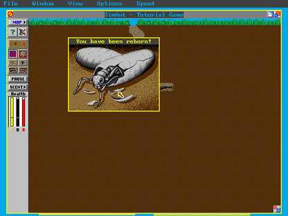 SimAnt Microsoft Windows PC CD-PC Gamez USA