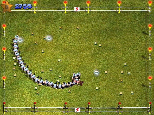 Sheep Microsoft Windows PC CD-PC Gamez USA