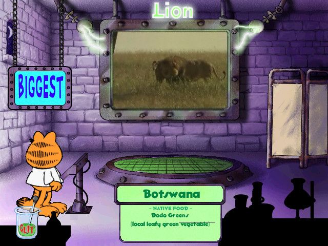 Garfield's Mad About Cats Microsoft Windows PC CD-PC Gamez USA