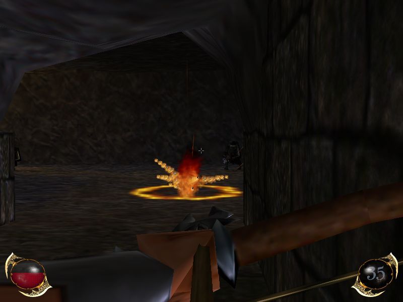 Drakan Order of the Flame Microsoft Windows PC CD-PC Gamez USA