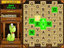 Bookworm Microsoft Windows PC CD-PC Gamez USA
