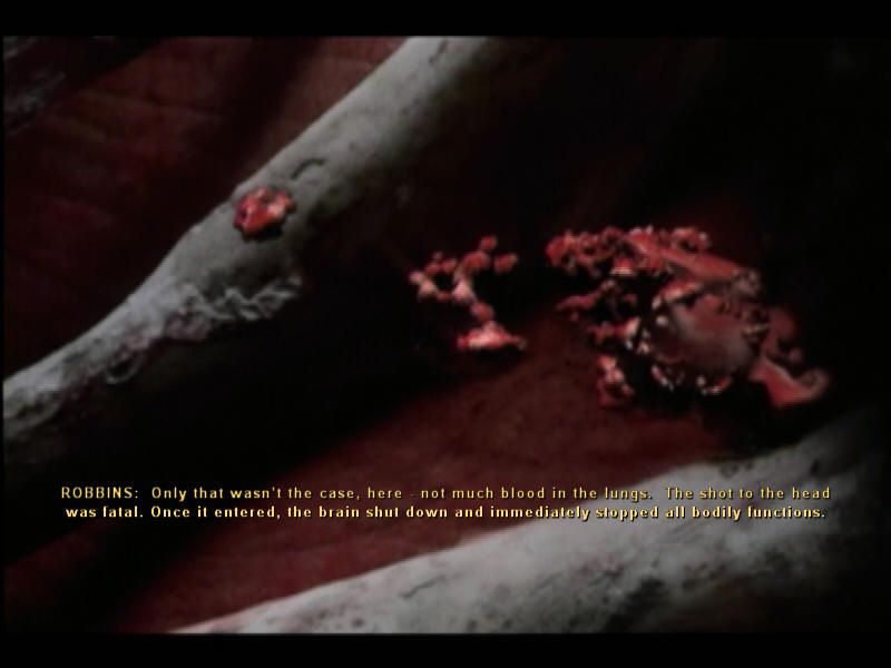 CSI 3 Dimensions Of Murders Microsoft Windows PC CD-PC Gamez USA