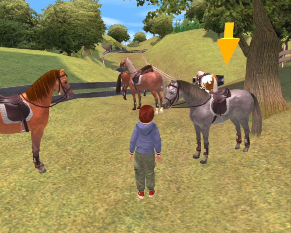 Time to Ride Saddles Stables Microsoft Windows PC CD-PC Gamez USA