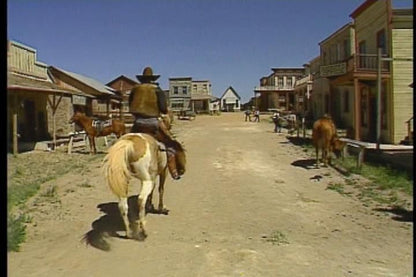 Mad Dog McCree Microsoft Windows PC CD-PC Gamez USA