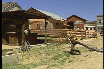 Mad Dog McCree Microsoft Windows PC CD-PC Gamez USA