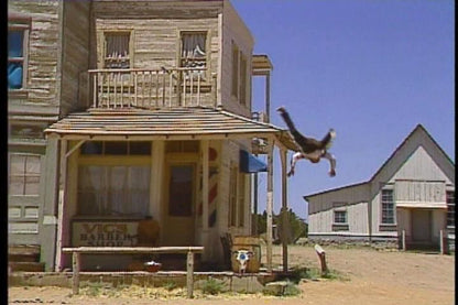 Mad Dog McCree Microsoft Windows PC CD-PC Gamez USA