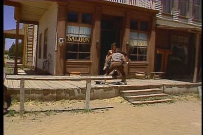 Mad Dog McCree Microsoft Windows PC CD-PC Gamez USA