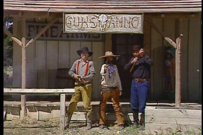 Mad Dog McCree Microsoft Windows PC CD-PC Gamez USA