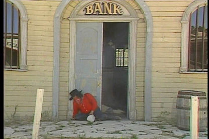 Mad Dog McCree Microsoft Windows PC CD-PC Gamez USA