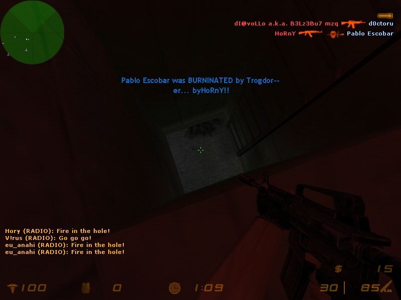 CounterStrike Microsoft Windows PC CD-PC Gamez USA