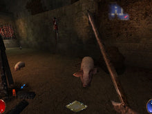 Arx Fatalis Microsoft Windows PC CD-PC Gamez USA