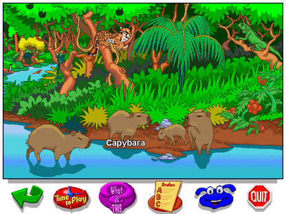 Let's Explore the Jungle with Buzzy Microsoft Windows PC CD-PC Gamez USA