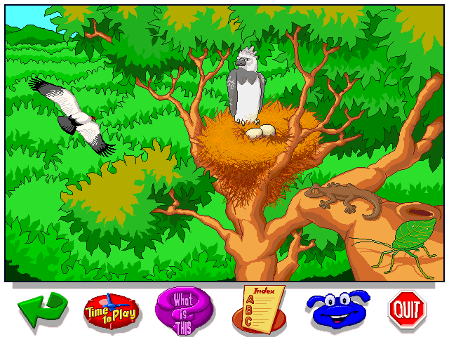 Let's Explore the Jungle with Buzzy Microsoft Windows PC CD-PC Gamez USA