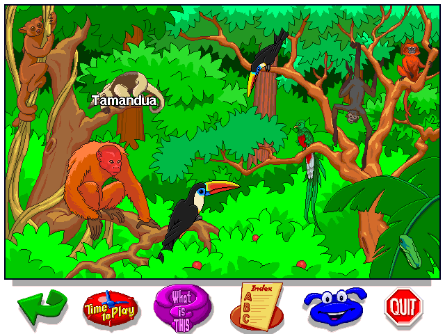 Let's Explore the Jungle with Buzzy Microsoft Windows PC CD-PC Gamez USA