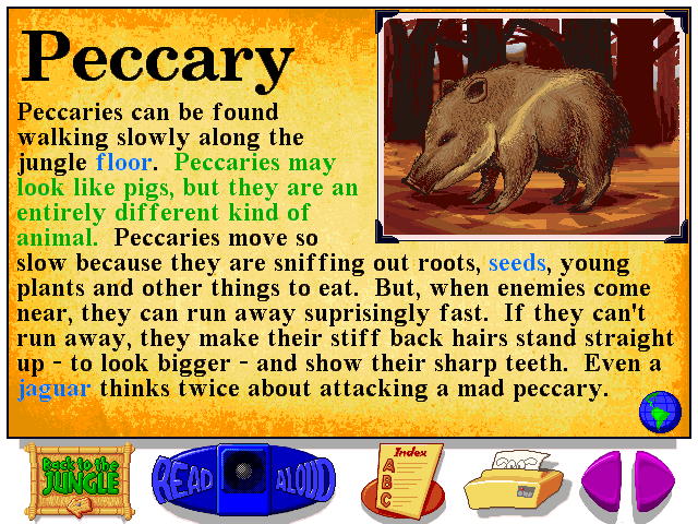 Let's Explore the Jungle with Buzzy Microsoft Windows PC CD-PC Gamez USA