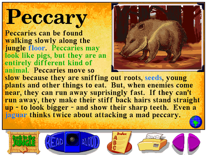 Let's Explore the Jungle with Buzzy Microsoft Windows PC CD-PC Gamez USA