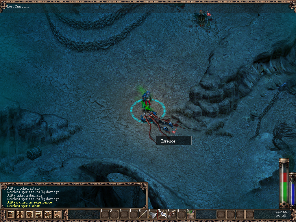 Kult Heretic Kingdoms Microsoft Windows PC CD-PC Gamez USA