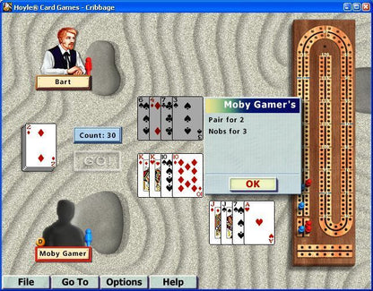 Hoyle Card Games Microsoft Windows PC CD-PC Gamez USA