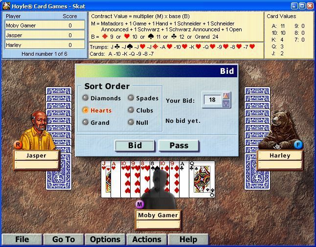 Hoyle Card Games Microsoft Windows PC CD-PC Gamez USA