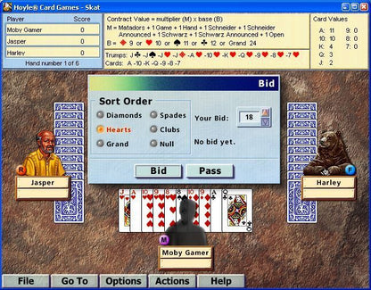 Hoyle Card Games Microsoft Windows PC CD-PC Gamez USA