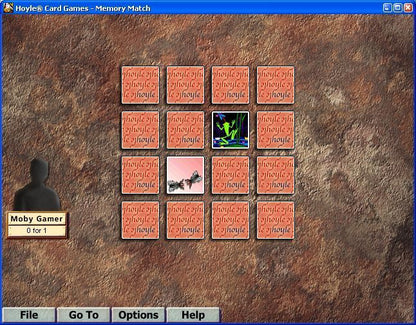 Hoyle Card Games Microsoft Windows PC CD-PC Gamez USA