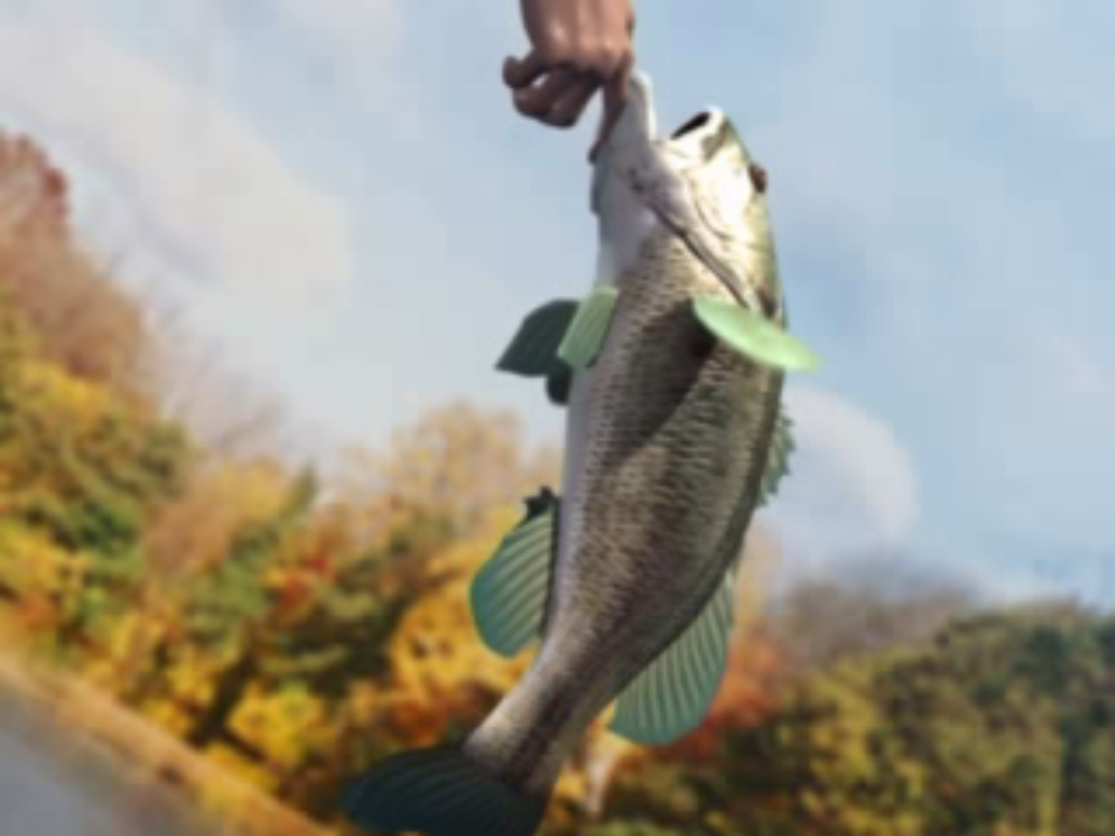 Rapala Pro Fishing Microsoft Windows PC CD-PC Gamez USA