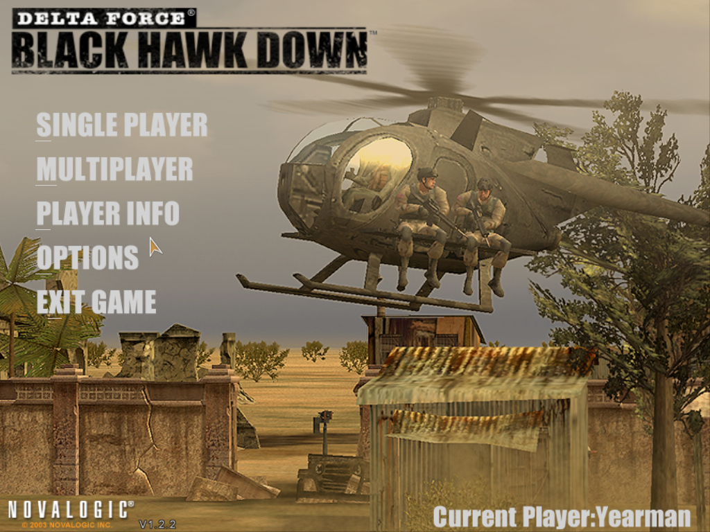 Delta Force: Black Hawk Down Microsoft Windows PC CD-PC Gamez USA