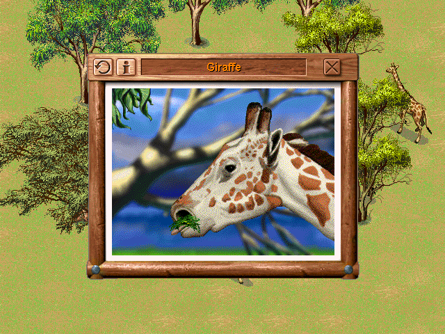 SIMSAFARI Microsoft Windows PC CD-PC Gamez USA