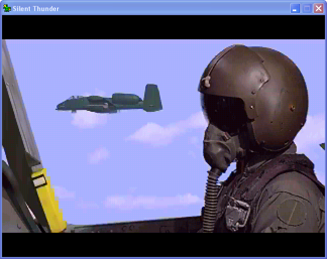 Silent Thunder - A-10 Tank Killer II Microsoft Windows PC CD-PC Gamez USA