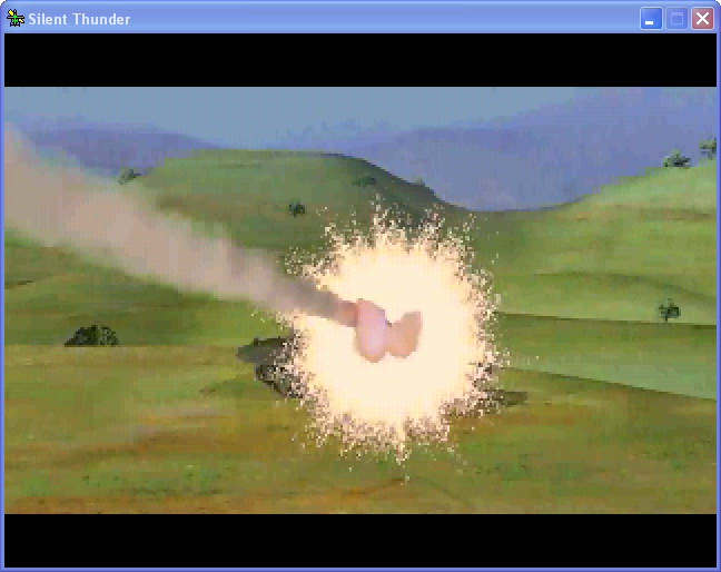 Silent Thunder - A-10 Tank Killer II Microsoft Windows PC CD-PC Gamez USA