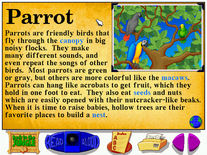 Let's Explore the Jungle with Buzzy Microsoft Windows PC CD-PC Gamez USA