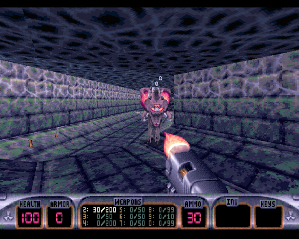 Duke Nukem 3D - Atomic Edition Microsoft Windows PC CD-PC Gamez USA