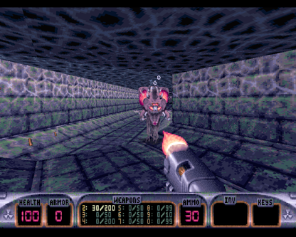 Duke Nukem 3D - Atomic Edition Microsoft Windows PC CD-PC Gamez USA