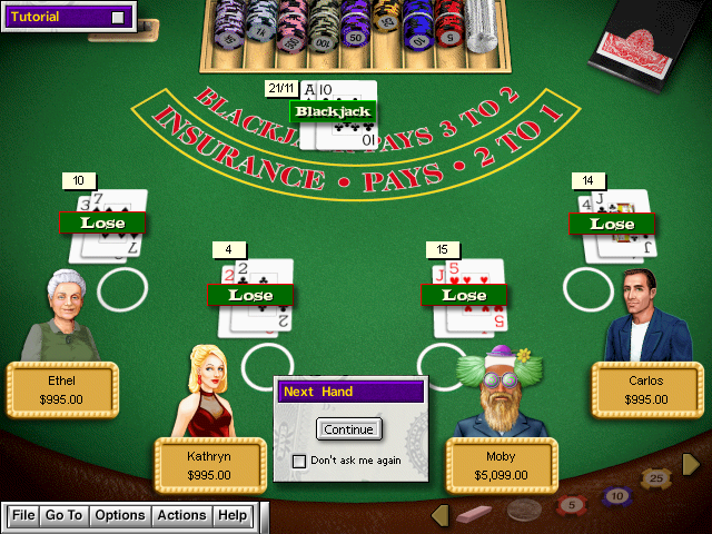 Hoyle Casino Microsoft Windows PC CD-PC Gamez USA