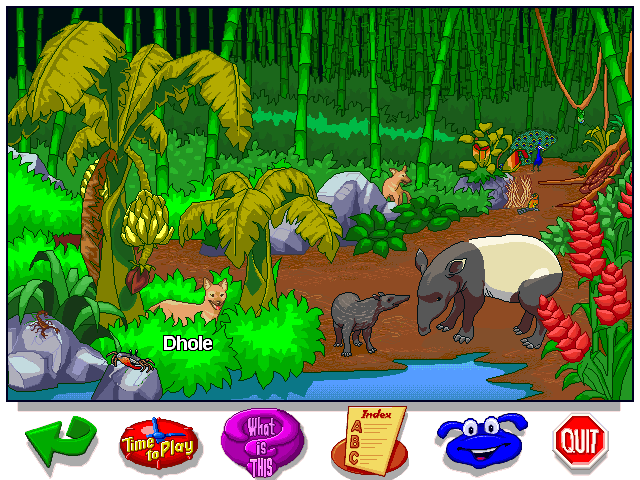 Let's Explore the Jungle with Buzzy Microsoft Windows PC CD-PC Gamez USA