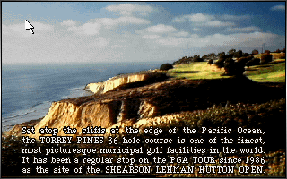 Links - The Challenge of Golf Microsoft Windows PC CD-PC Gamez USA